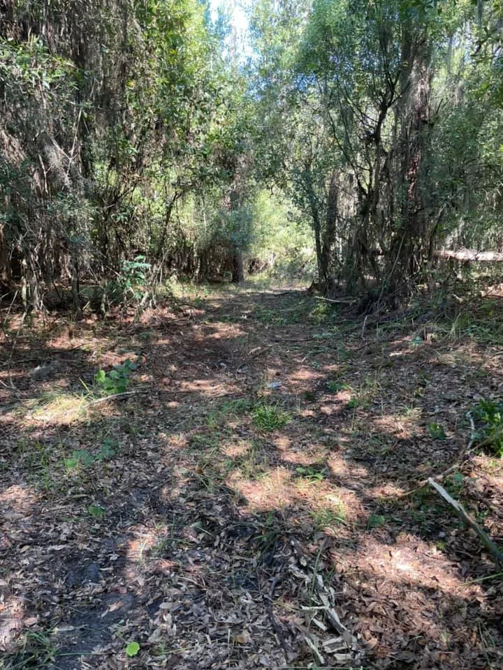 Septic and site work by Florida Site and Septic near Davenport, FL